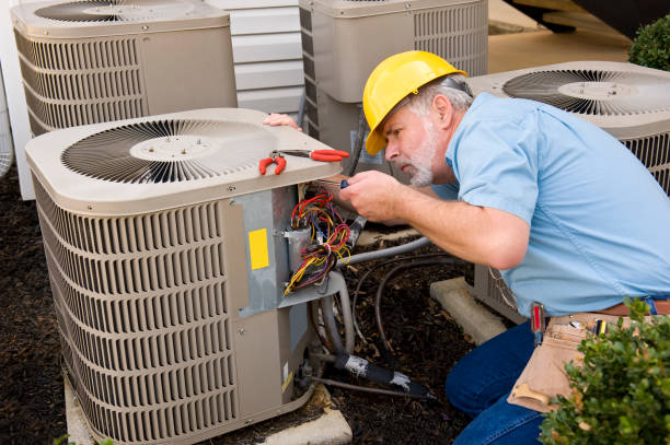 Best HVAC air duct cleaning  in Clermont, FL